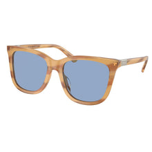 Load image into Gallery viewer, Polo Ralph Lauren Sunglasses, Model: 0PH4201U Colour: 607972