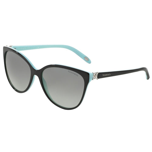 Tiffany Sunglasses, Model: 0TF4089B Colour: 80553C