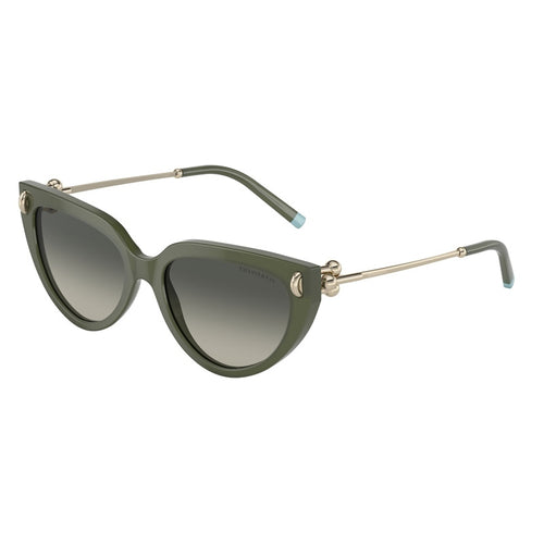 Tiffany Sunglasses, Model: 0TF4195 Colour: 835811