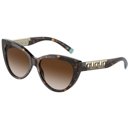 Tiffany Sunglasses, Model: 0TF4196 Colour: 80153B