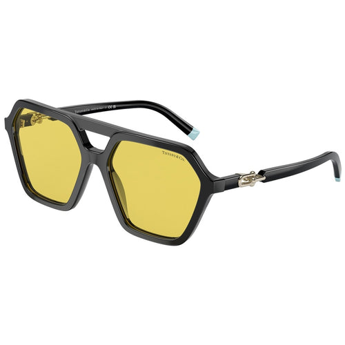 Tiffany Sunglasses, Model: 0TF4198 Colour: 800185