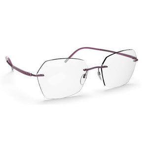 Silhouette Eyeglasses, Model: TitanDynamicsContour5540IN Colour: 4040